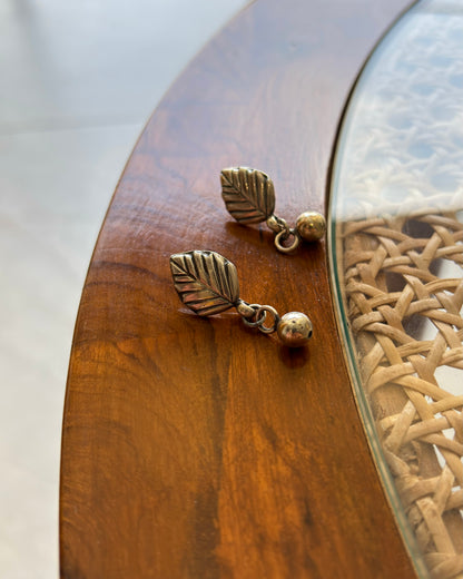 Ritvi Silver Earrings